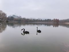 -浙江农林大学(东湖校区)