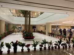 -中国人民解放军总医院(301医院)