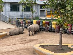 -西霞口神雕山野生动物世界