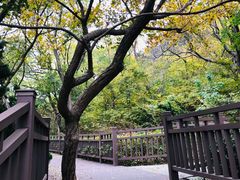 -南山健身公园