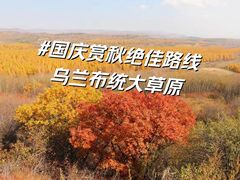 -乌兰布统草原