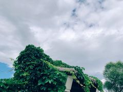 -野鸭湖国家湿地公园