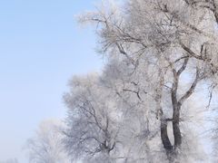 -雾凇岛