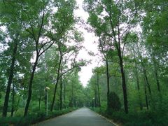 iphone_upload_pic-顺鑫绿色度假村
