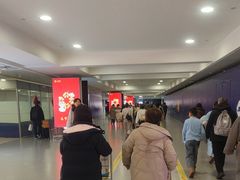 -上海浦东国际机场-T2航站楼