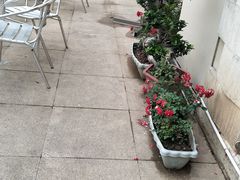 -知味观(翡翠城店)
