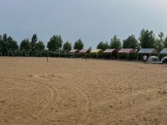 -呼兰河口湿地公园