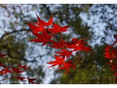 -共青国家森林公园-售票处