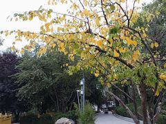 -宗角禄康公园