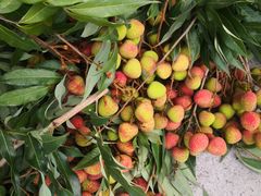 -张钰强中医正骨推拿连锁(唐家人才公寓店)