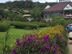 -优游吧斯邹族文化部落