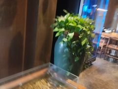 -新盈光·旗舰店(海曙苍松路店)