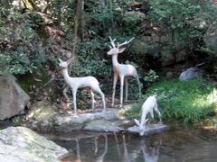 DSC00683-众神白水涧景区