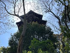 -上海佘山国家森林公园天马山园