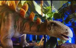 -恐龙探索乐园(磁器口店)