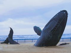 -烟台金沙滩海滨公园