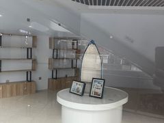 -招商蛇口邮轮母港(观光客运)