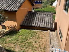 -杨家堂村