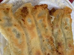 鱼香锅贴-青岛锅贴(四流中路店)