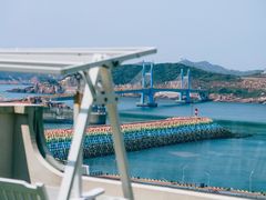 -枸杞岛