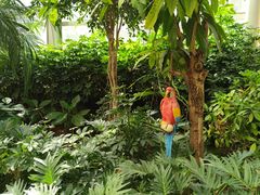 -南宫五洲植物乐园