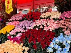 -越秀西湖花市(广州城市广场花卉店)