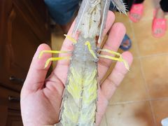 -渔人湾码头海鲜市场负二楼