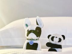 -成都大熊猫繁育研究基地