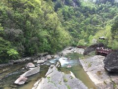 -黎坪国家森林公园