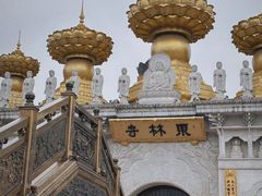 -上海东林寺(金山区)