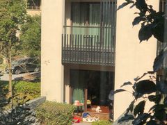 -上海崇明金茂凯悦酒店