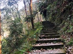 -南山植物园