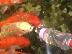 -大连圣亚海洋世界