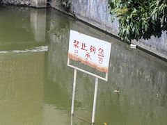 -江门古劳水乡旅游区