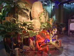 -恐龙探索乐园(磁器口店)