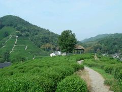 -西湖风景区十里琅珰-五云山