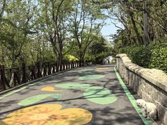 -北岭山森林公园