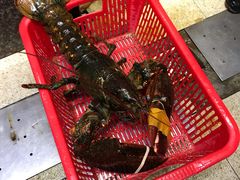 -蚝专家(北滘店)