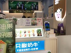 -一只酸奶牛(春熙路店)