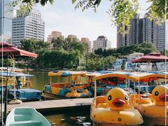 -团结湖公园
