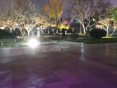 -大雁塔北广场音乐喷泉