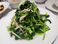 鸡毛菜火腿百叶丝-新吉士·上海菜(浦东LCM置汇旭辉店)