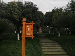 -龙头寺公园