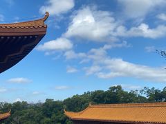 -深圳仙湖植物园