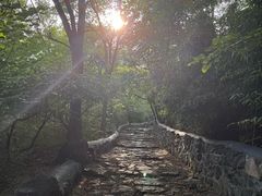 -阳台山自然风景区