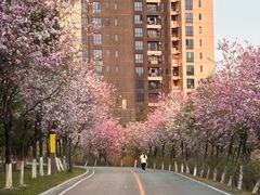 -广东花都湖国家湿地公园