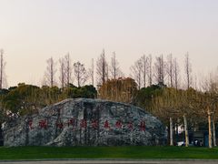 -上海海湾国家森林公园