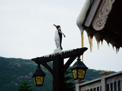 -长隆海洋王国-海洋大街餐厅