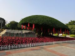-南宁南湖公园