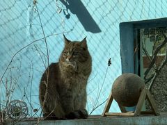 -青藏高原野生动物园
